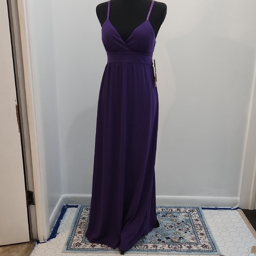 Feathers Deep Purple Maxi Dress